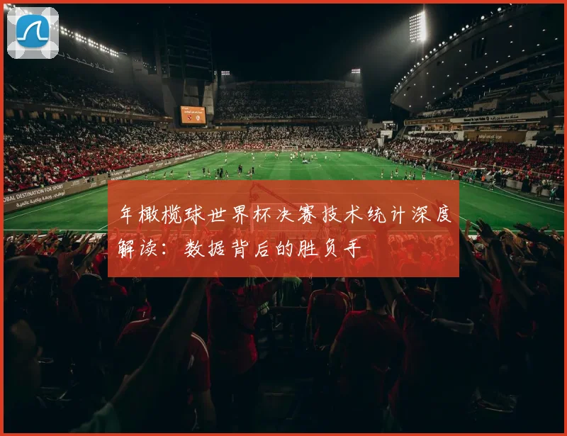 年橄榄球世界杯决赛技术统计深度解读：数据背后的胜负手