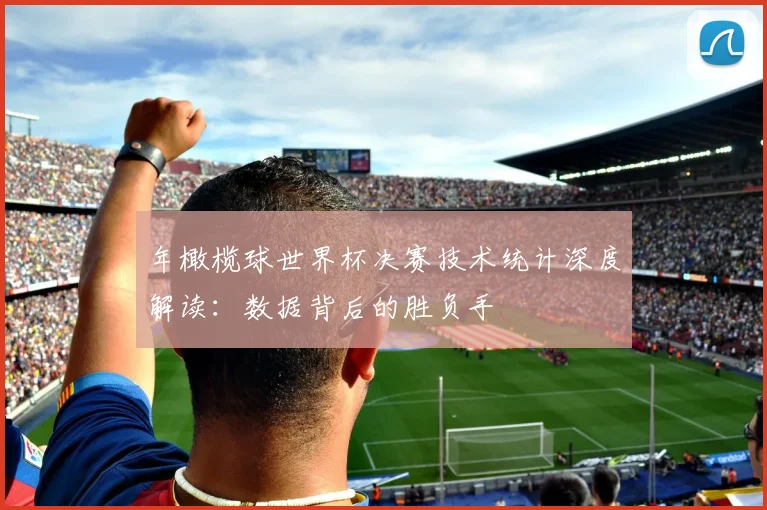 年橄榄球世界杯决赛技术统计深度解读：数据背后的胜负手