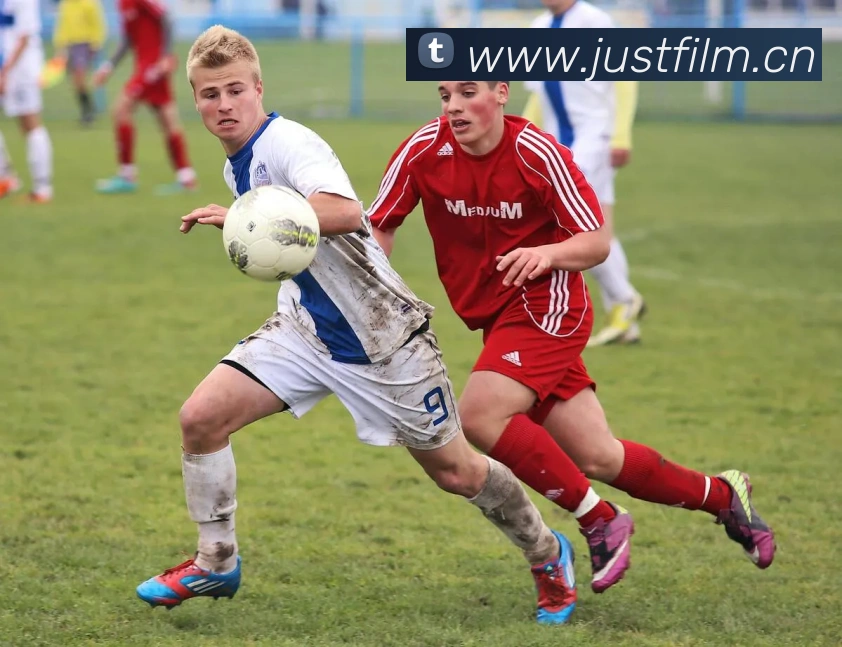 数据防护可视化